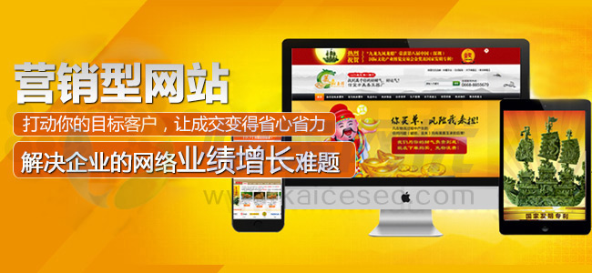 恺策网优营销型网站让您的成交变得省心省力